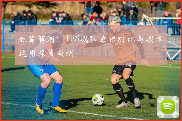独家解析：TES战队意识对比与战术运用深度剖析