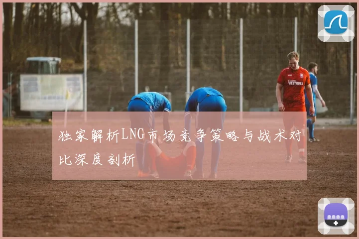 独家解析LNG市场竞争策略与战术对比深度剖析